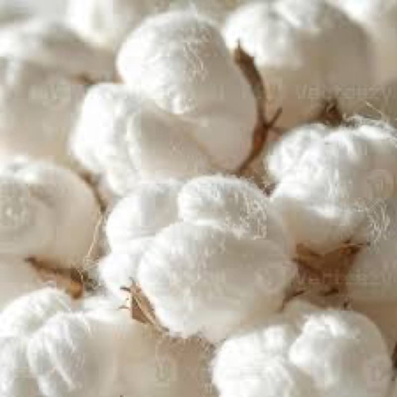 Your Clothes Have an Ingredient List, Too