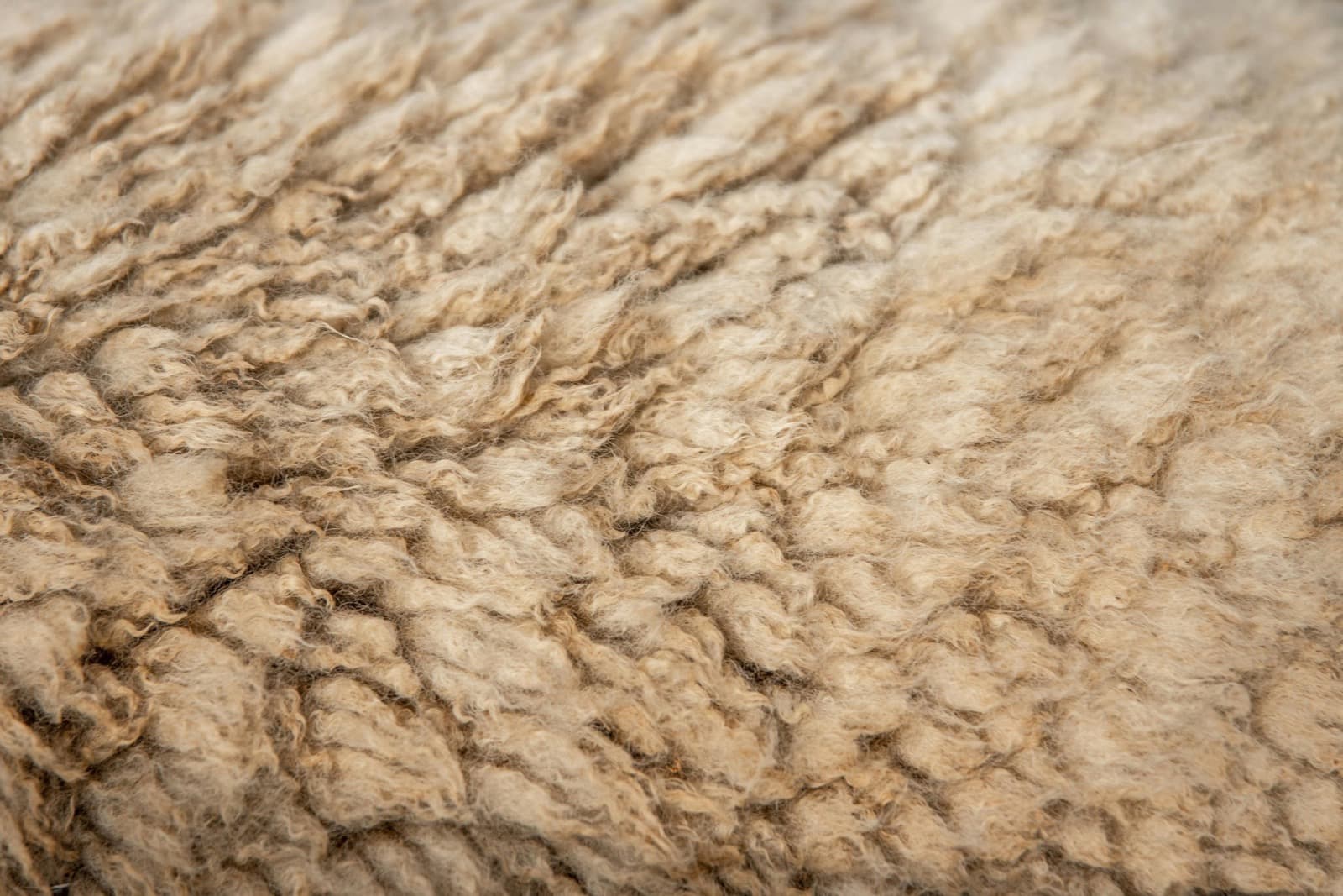 What Is Superwash Wool? The Coating That Isn't on the Label