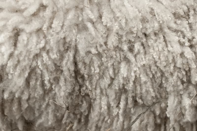 Polyester Is Plastic. Here's What That Means Against Your Skin.
