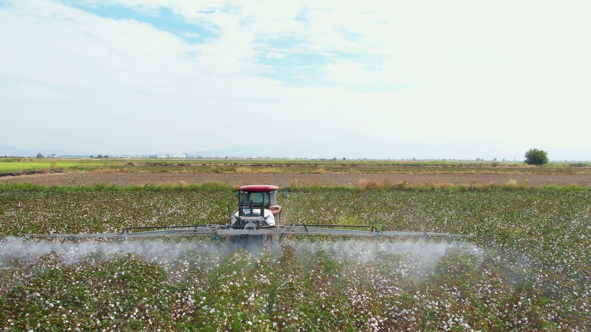 What the Roundup Ruling Means for the Clothes You Wear