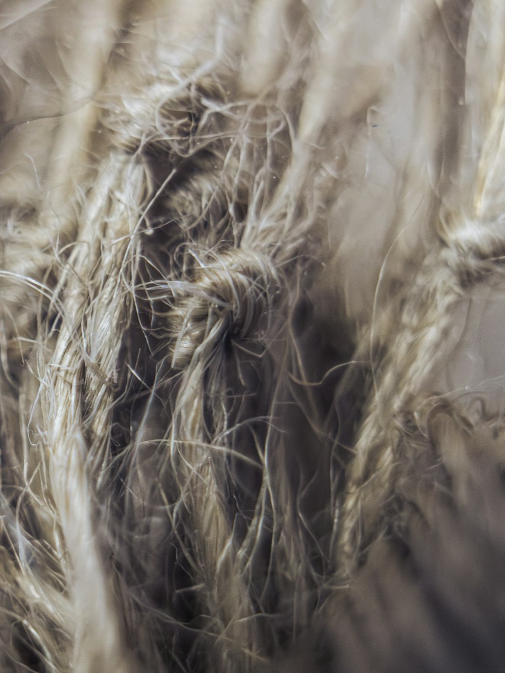 Hemp fabric