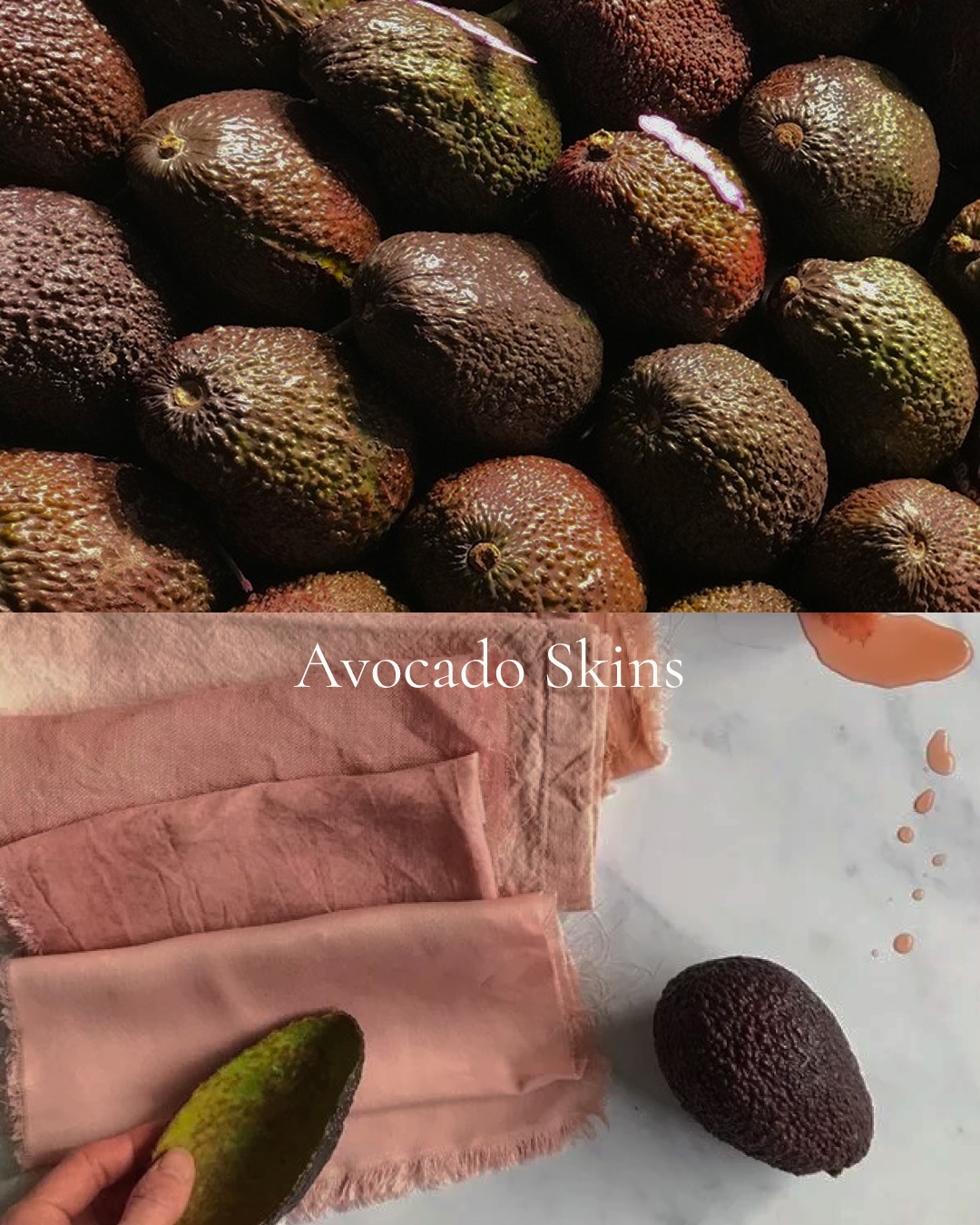 Hass avocados above, and the rose they leave on silk and linen below.