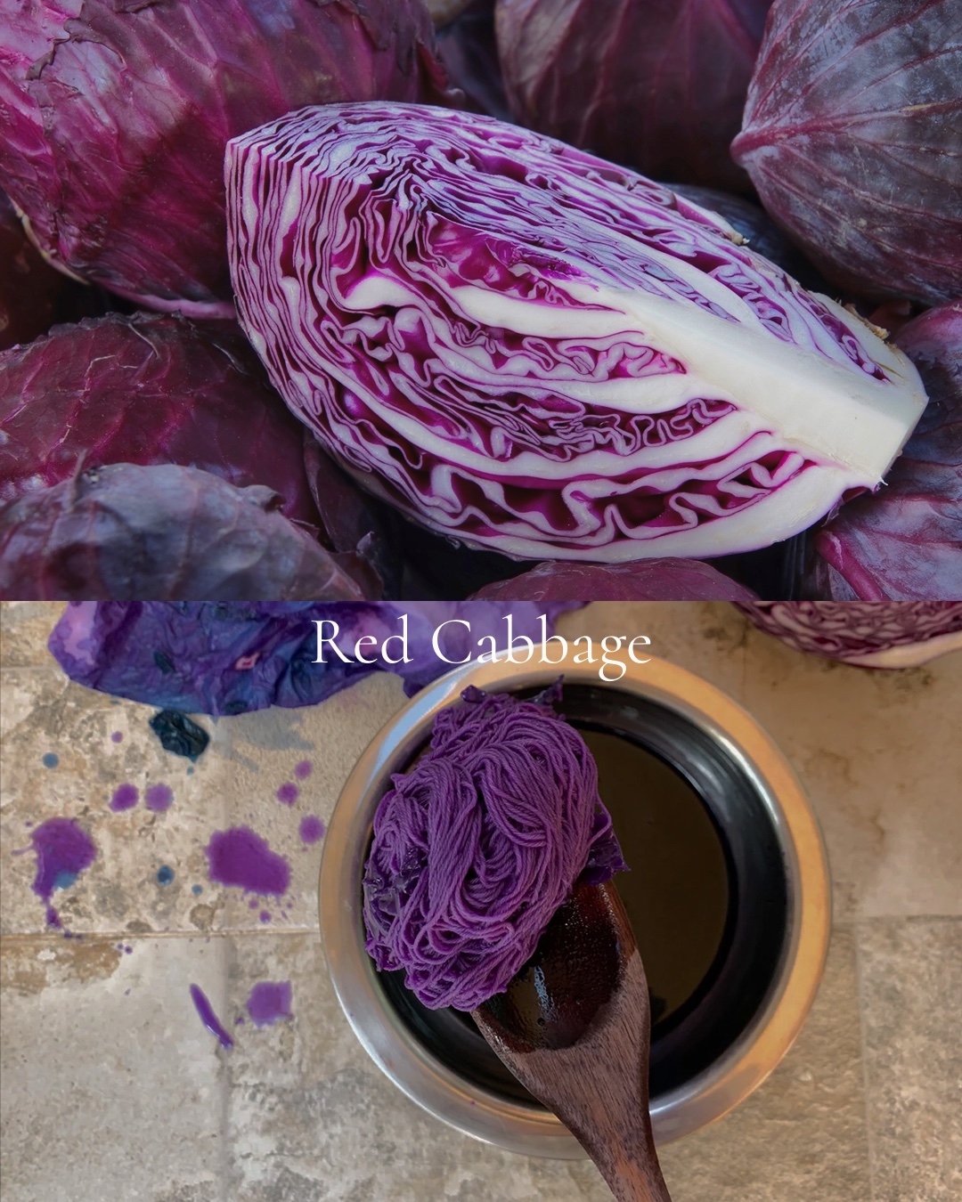 A halved red cabbage above, and below a skein of purple-dyed yarn lifted on a wooden spoon from a dark dye bath.