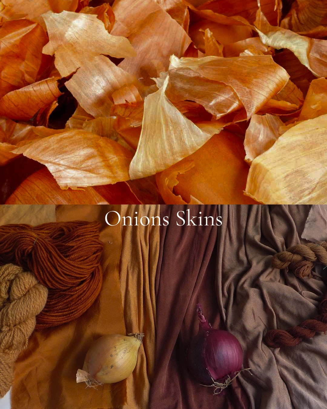 Papery onion skins above; below, wool and cotton dyed in golds and browns beside a yellow onion and a red onion.