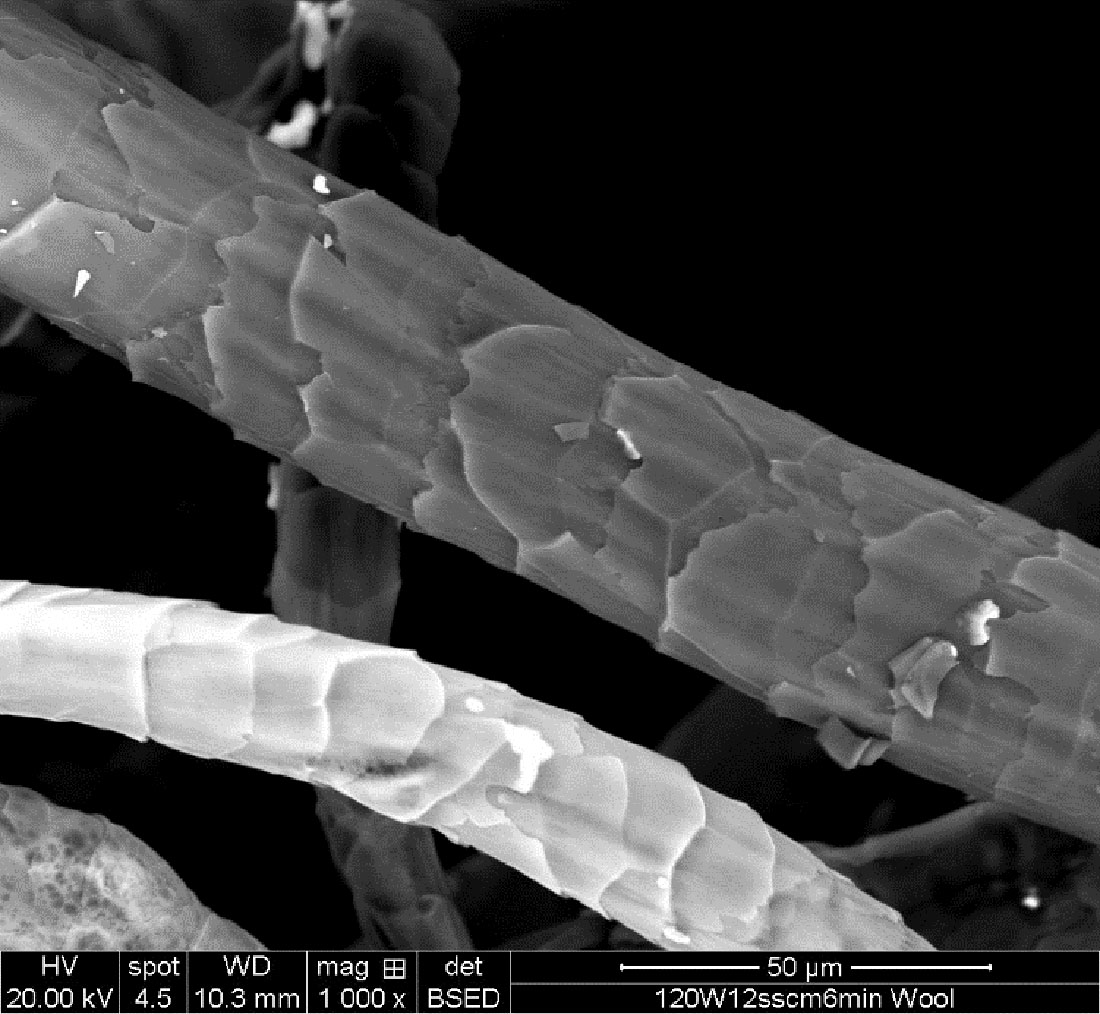 Two wool fibers under a scanning electron microscope, each wrapped in overlapping scales that all point the same direction along the fiber.